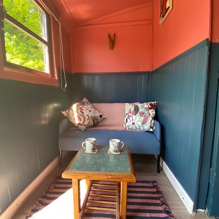 The Hares Hut At Carrigeen Glamping Kilkenny Exterior foto