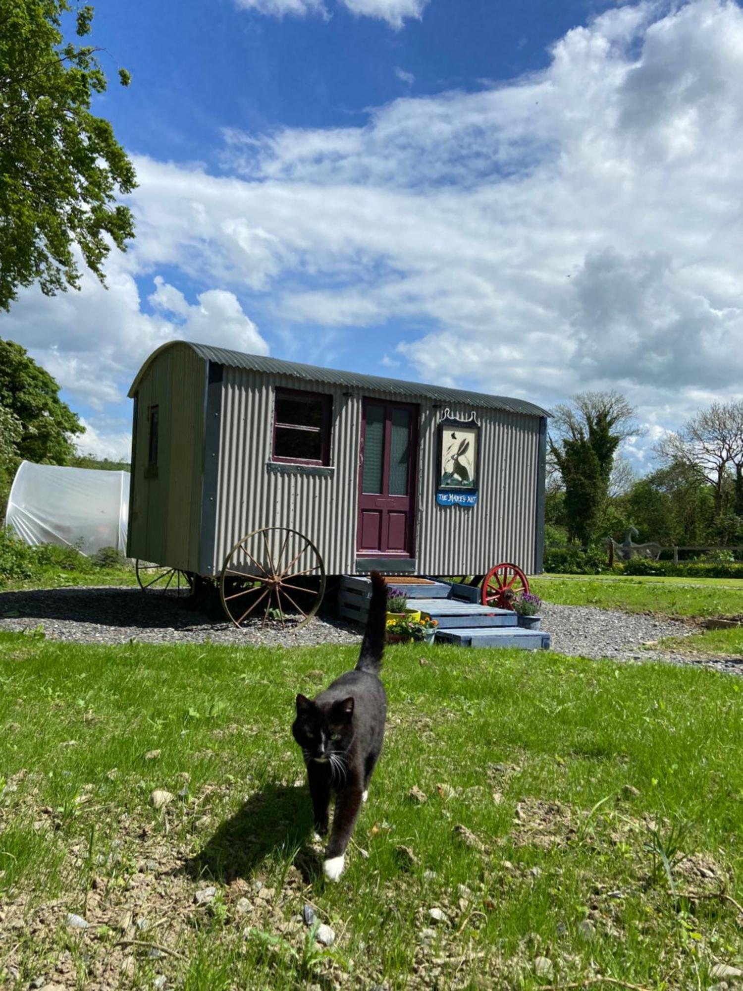 The Hares Hut At Carrigeen Glamping Kilkenny Exterior foto